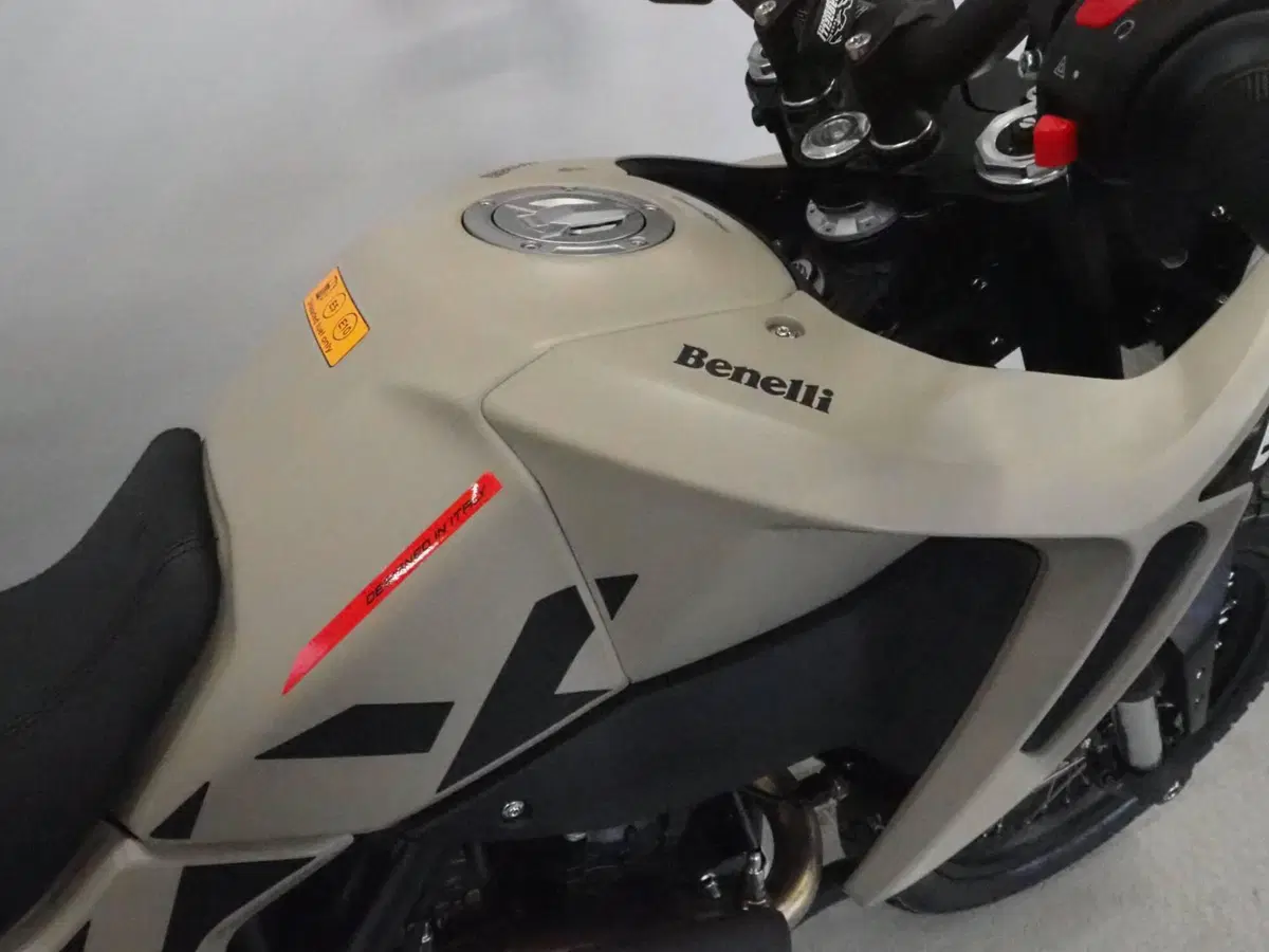 Benelli BKX 300 (2026) (5)