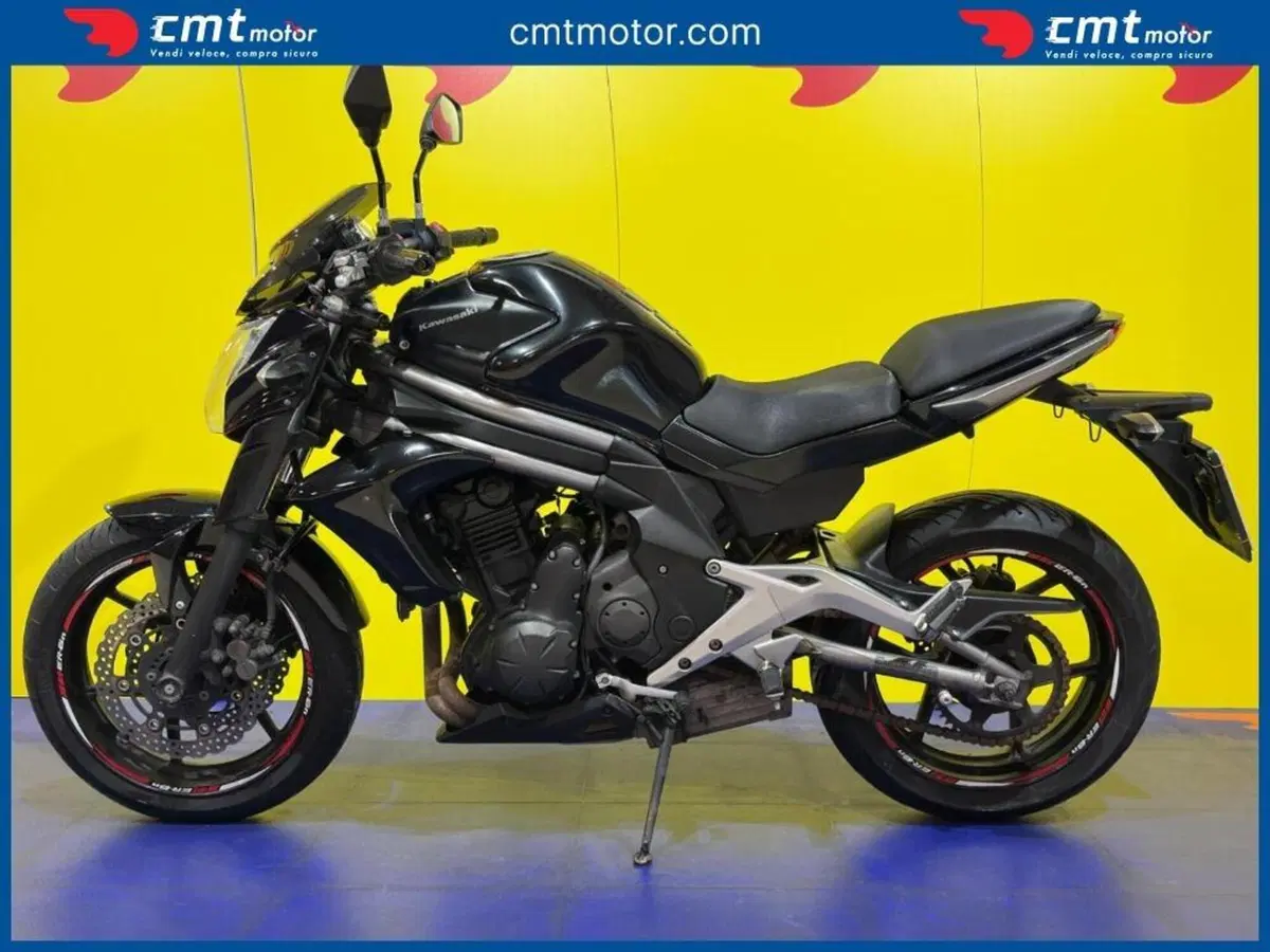 Kawasaki ER-6N (2012 - 13) (3)
