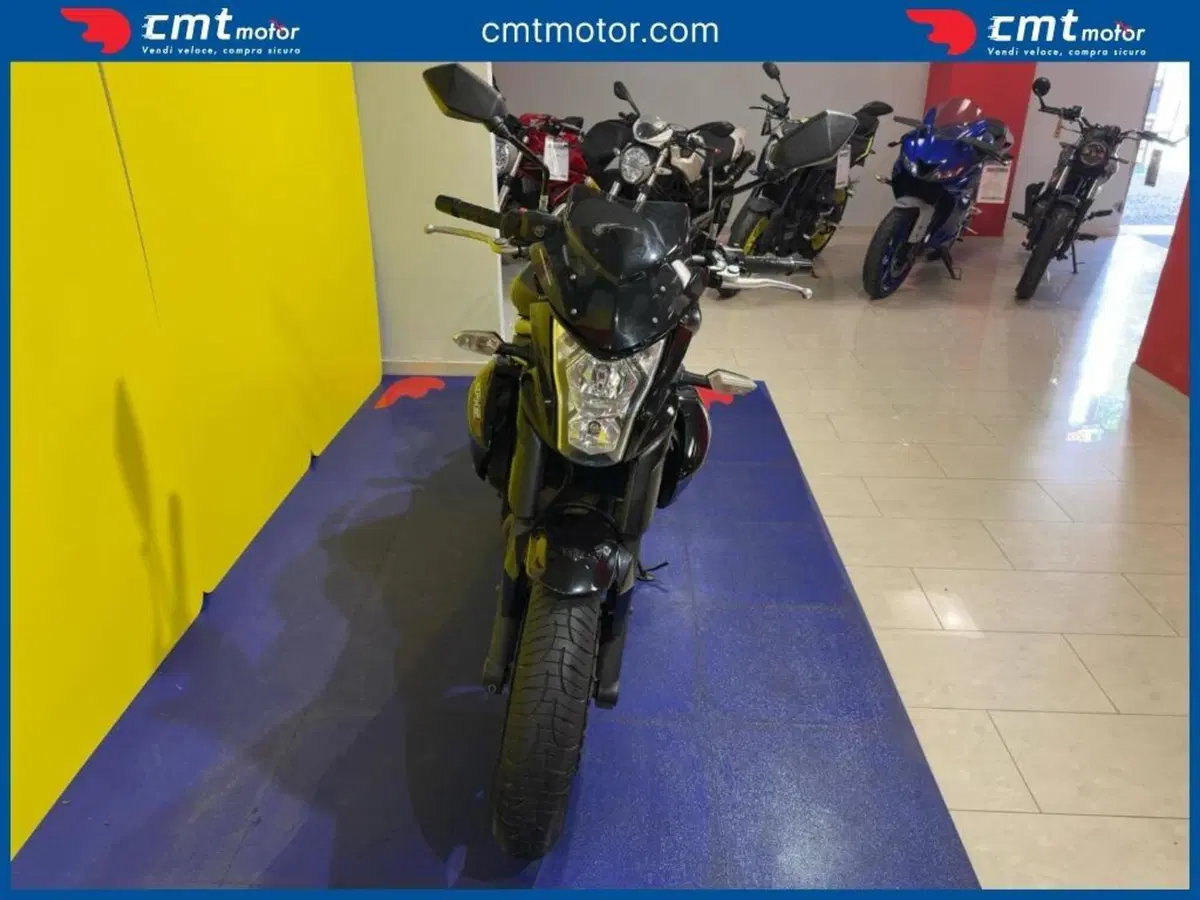 Kawasaki ER-6N (2012 - 13) (6)