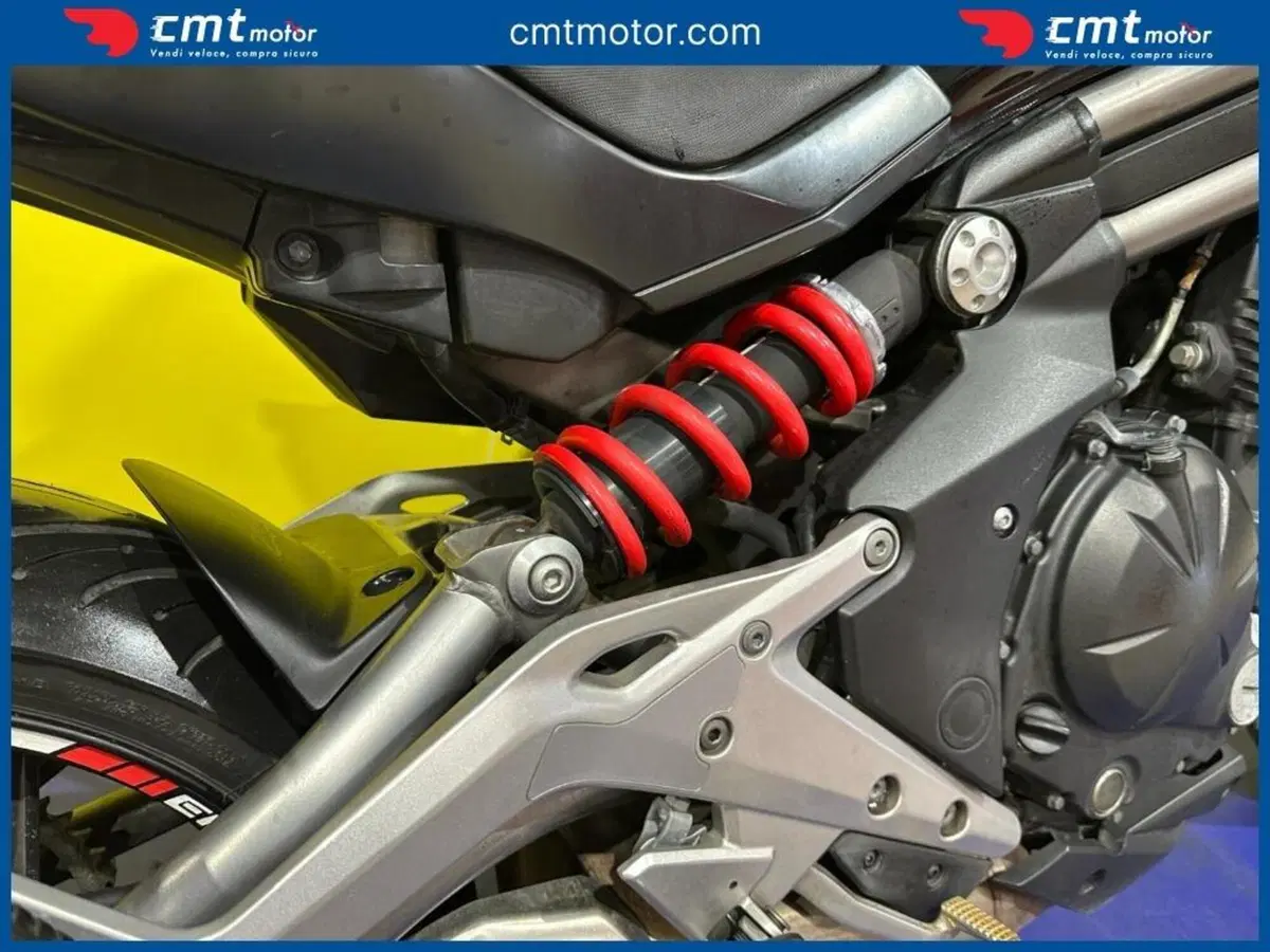 Kawasaki ER-6N (2012 - 13) (10)