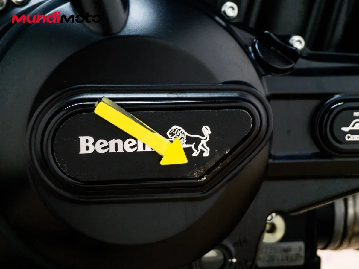 Benelli Leoncino 500 Trail (2021 - 26) (18)