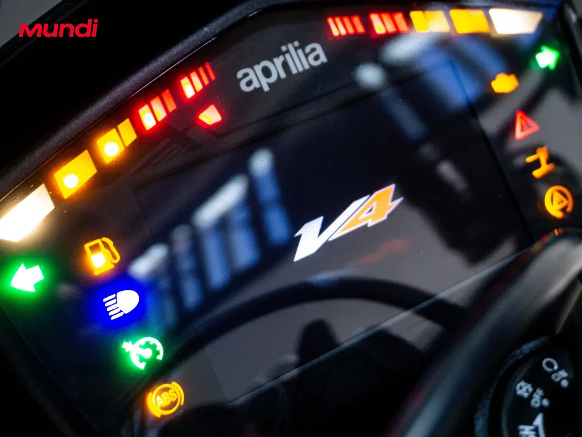 Aprilia Tuono V4 RR (2017 - 18) (18)