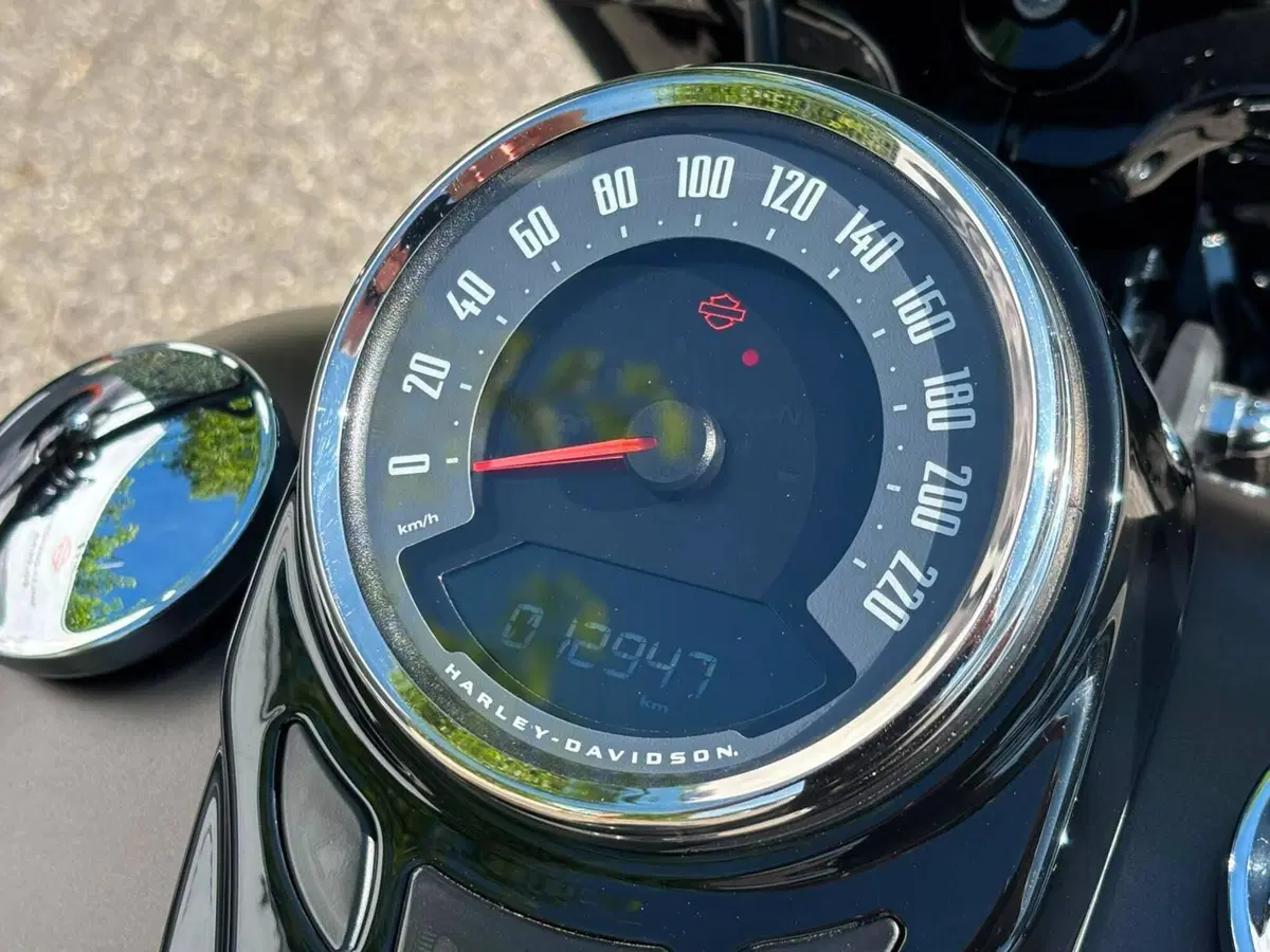 Harley-Davidson 107 Slim (2021) - FLSL (3)
