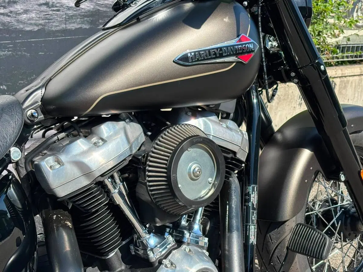 Harley-Davidson 107 Slim (2021) - FLSL (4)