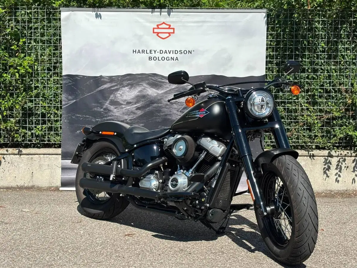 Harley-Davidson 107 Slim (2021) - FLSL (5)