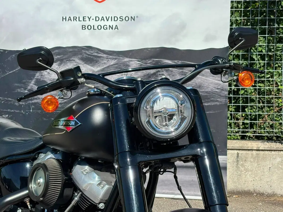 Harley-Davidson 107 Slim (2021) - FLSL (6)