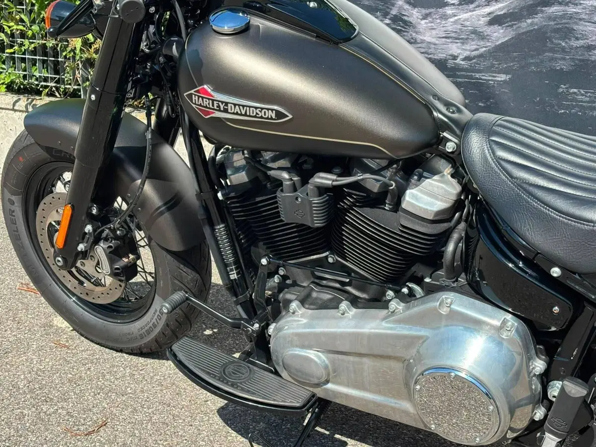 Harley-Davidson 107 Slim (2021) - FLSL (7)