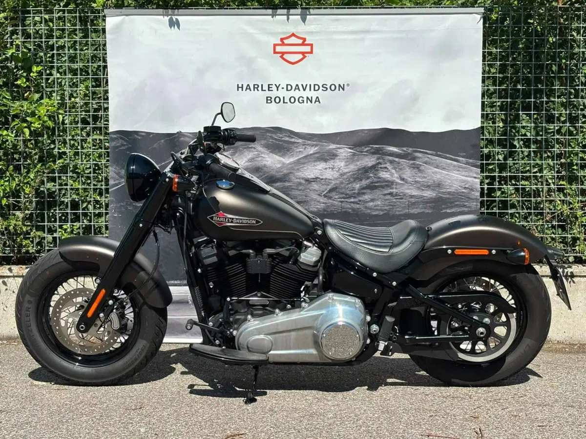 Harley-Davidson 107 Slim (2021) - FLSL (2)
