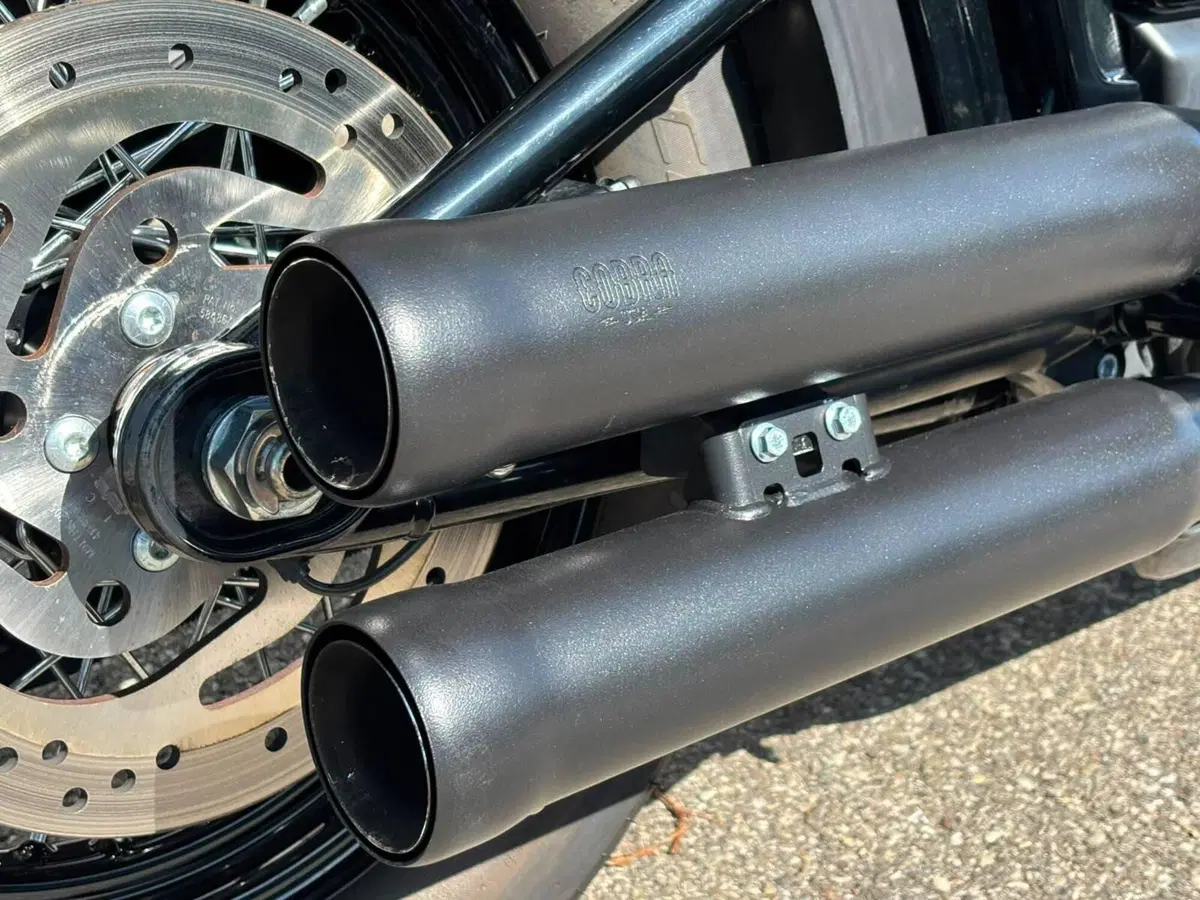 Harley-Davidson 107 Slim (2021) - FLSL (8)