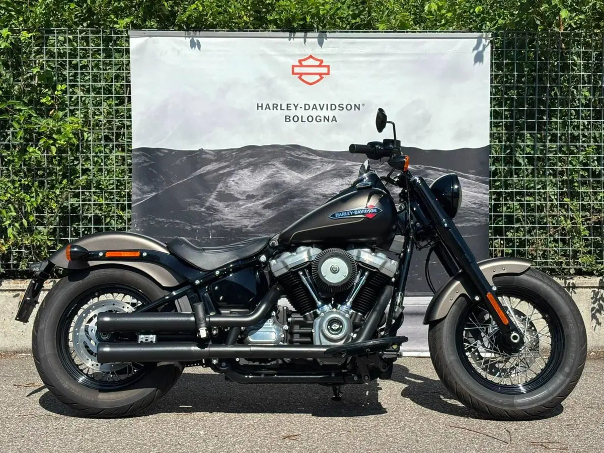 Harley-Davidson 107 Slim (2021) - FLSL