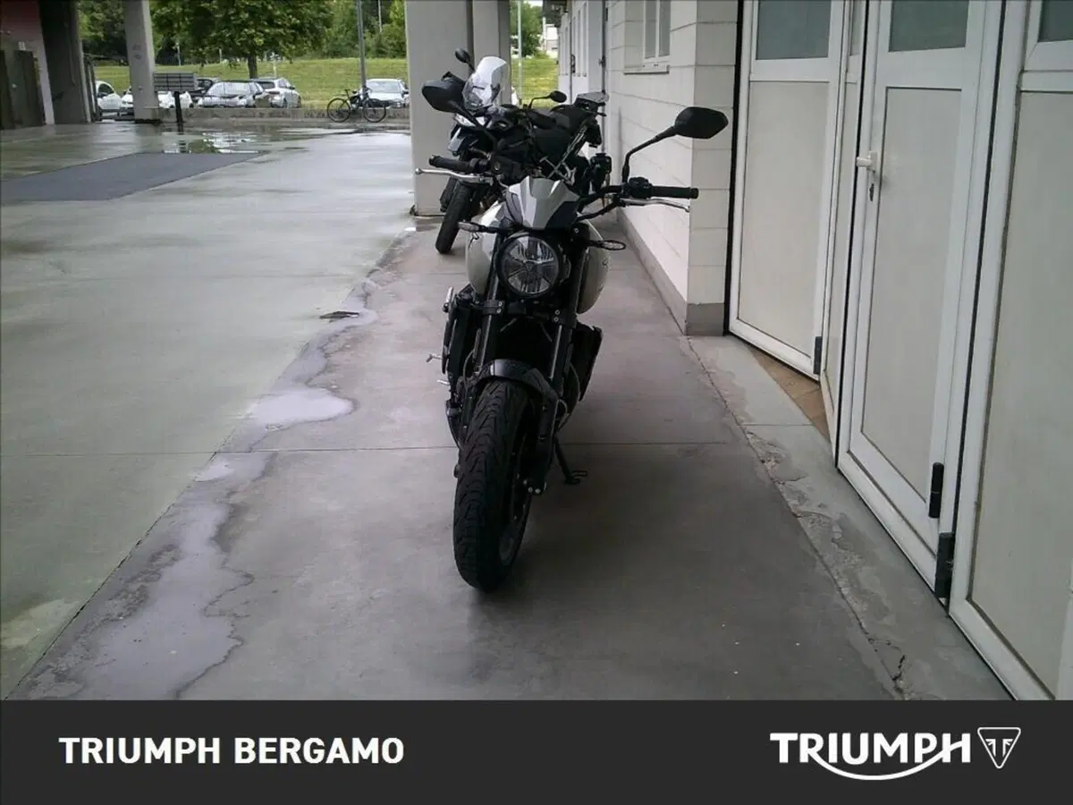 Triumph Trident 660 (2025) (5)