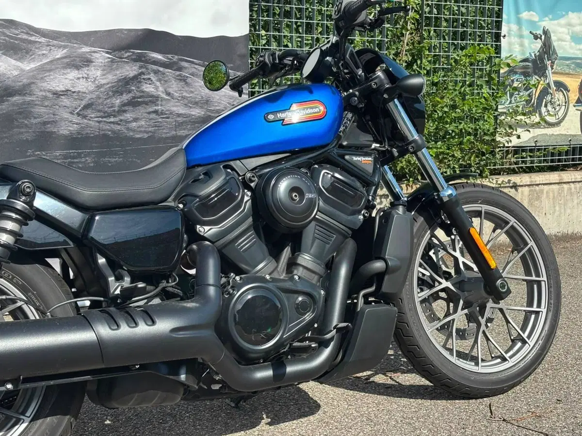 Harley-Davidson Nightster Special (2023 - 26) (4)