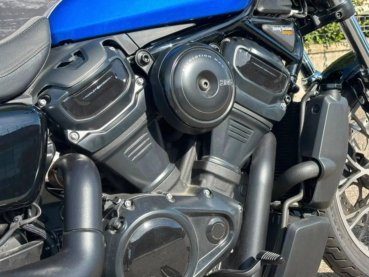 Harley-Davidson Nightster Special (2023 - 26) (6)