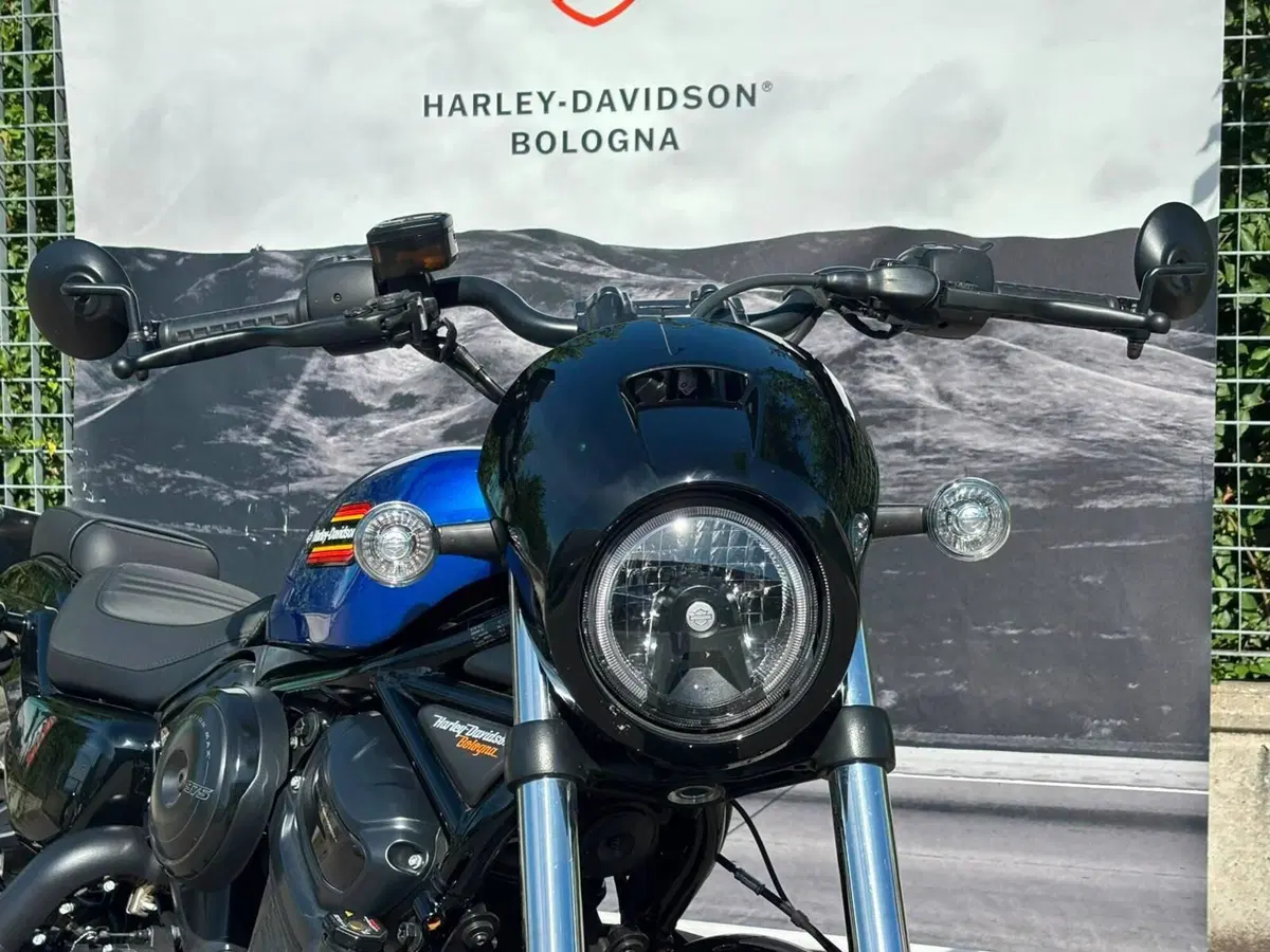 Harley-Davidson Nightster Special (2023 - 26) (8)