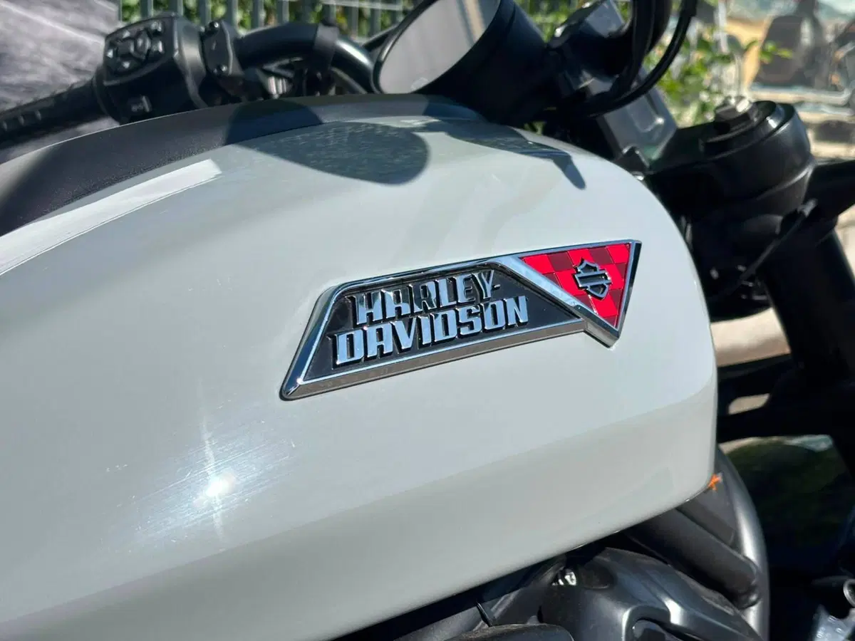 Harley-Davidson Sportster S (2025 - 26) (7)