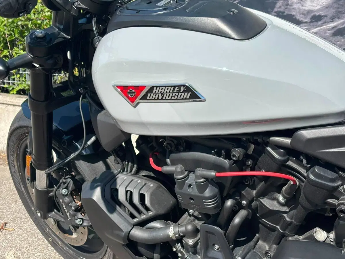 Harley-Davidson Sportster S (2025 - 26) (9)