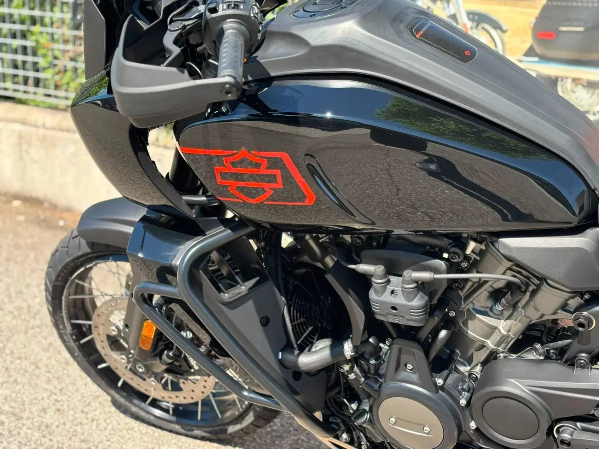 Harley-Davidson Pan America 1250 Special (2020 - 25) (4)