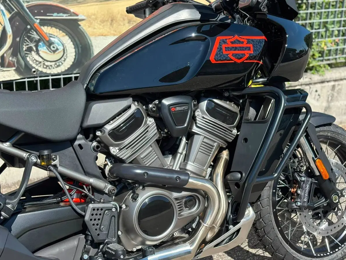Harley-Davidson Pan America 1250 Special (2020 - 25) (7)