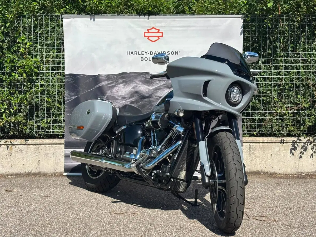 Harley-Davidson Low Rider ST (2025 - 26) (2)