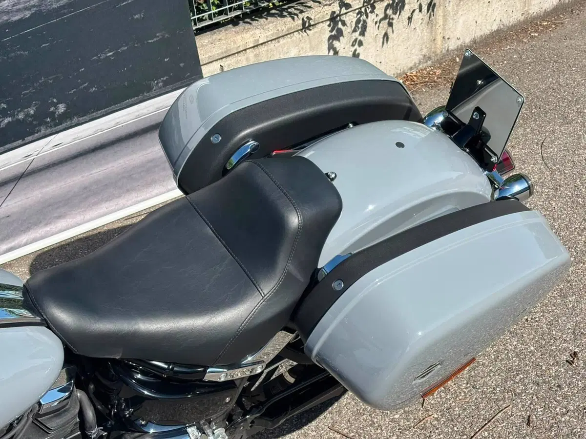 Harley-Davidson Low Rider ST (2025 - 26) (3)