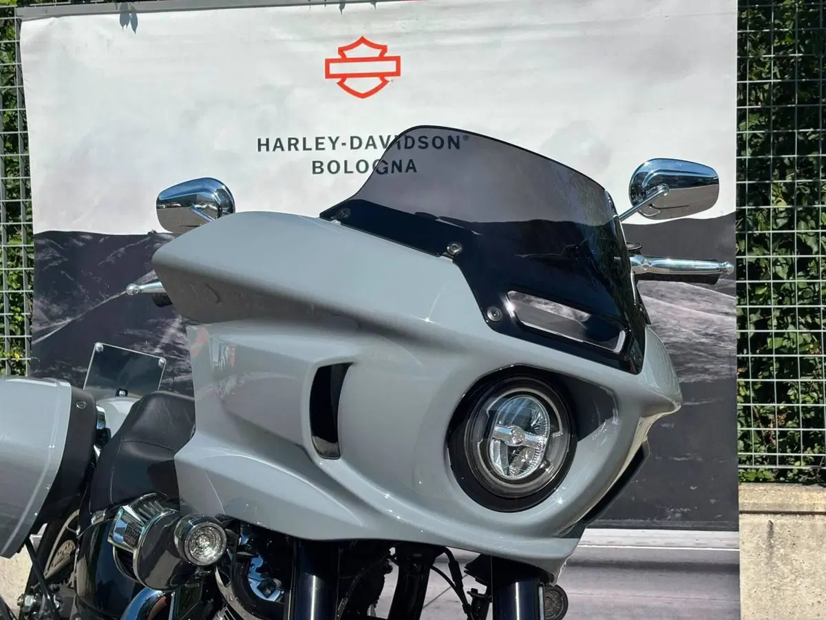 Harley-Davidson Low Rider ST (2025 - 26) (4)