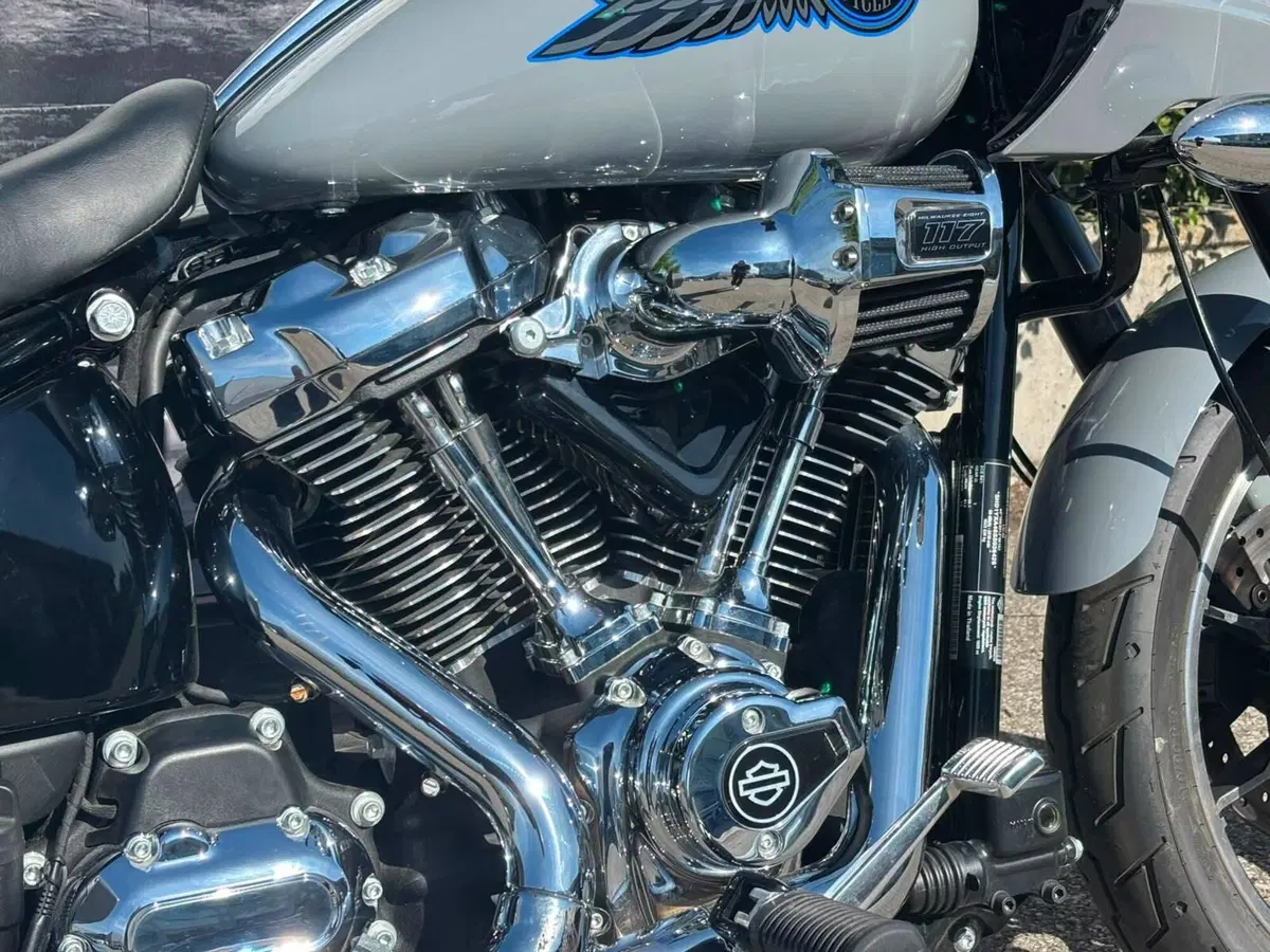Harley-Davidson Low Rider ST (2025 - 26) (5)