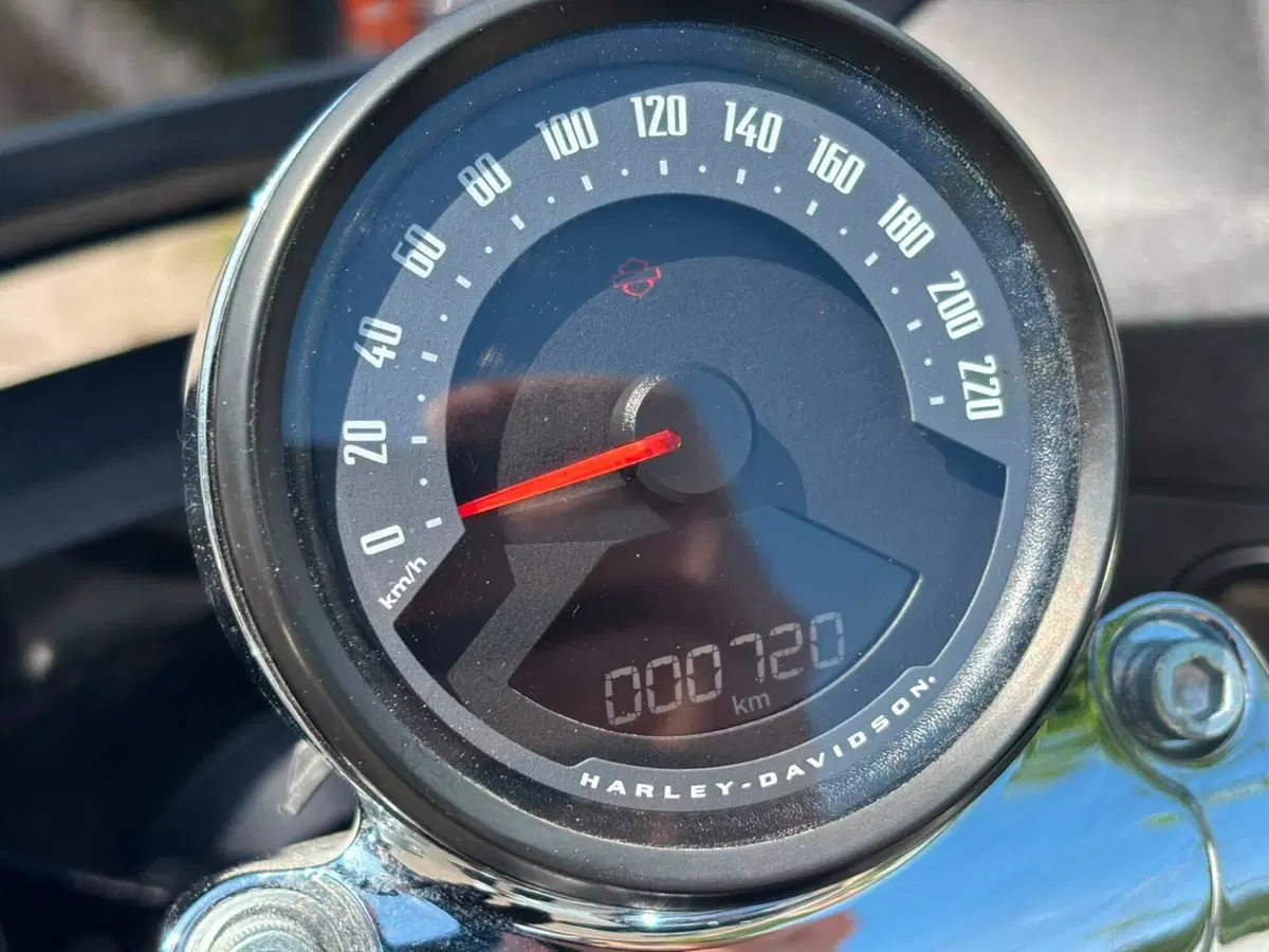 Harley-Davidson Low Rider ST (2025 - 26) (6)