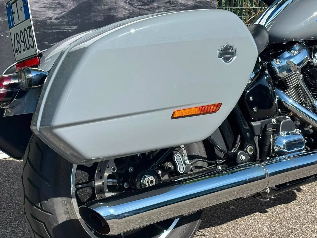 Harley-Davidson Low Rider ST (2025 - 26) (7)