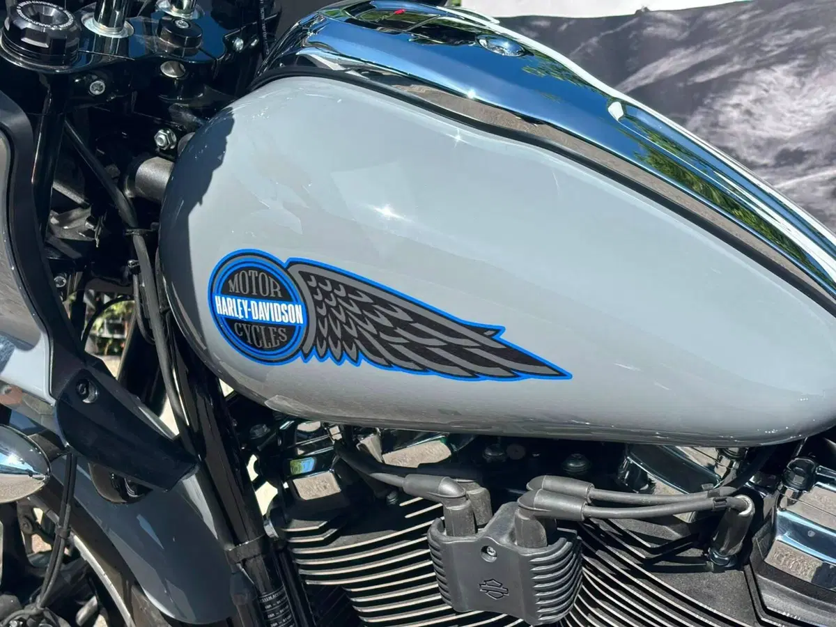 Harley-Davidson Low Rider ST (2025 - 26) (10)