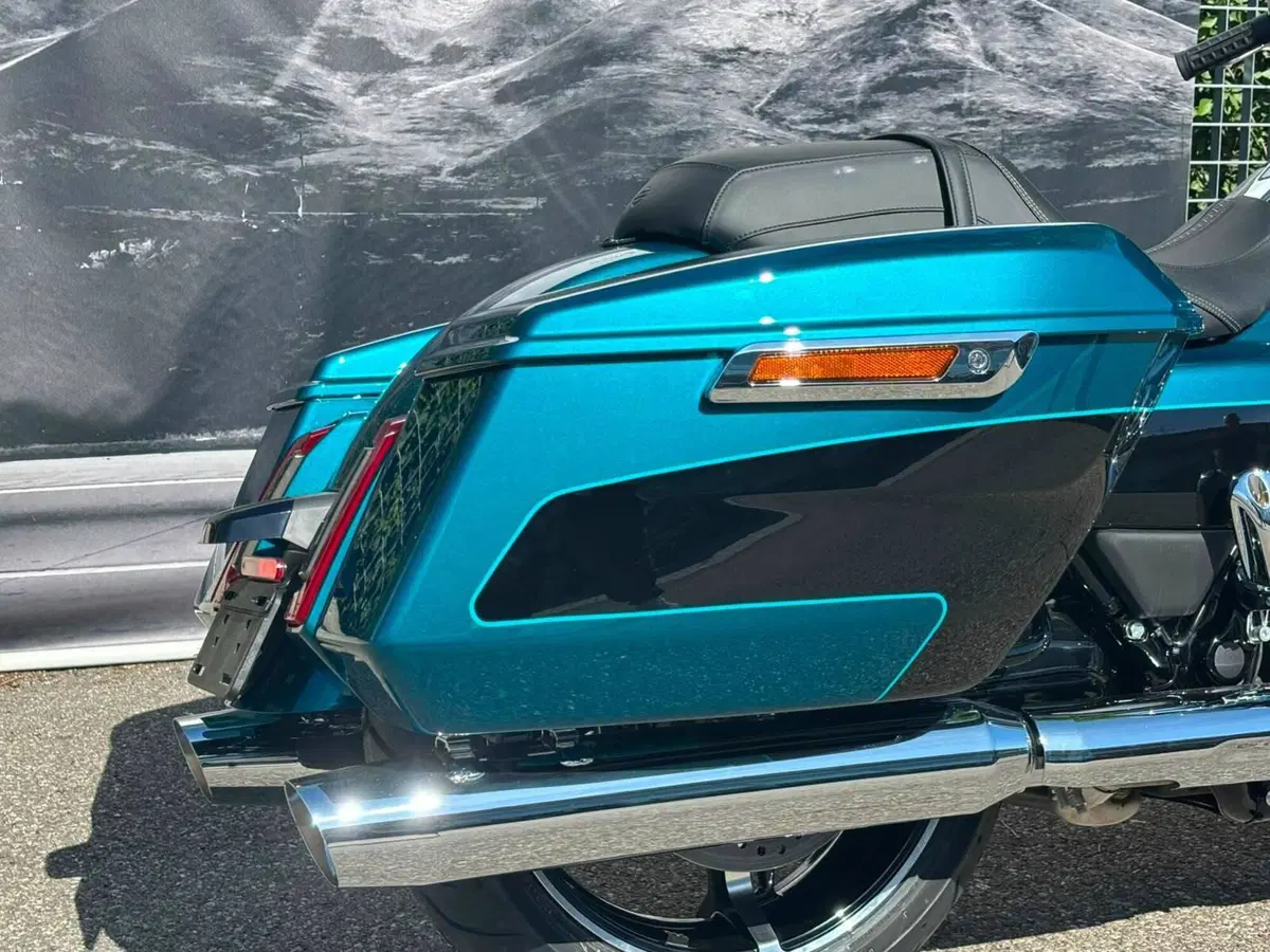 Harley-Davidson Street Glide (2024 - 26) (6)
