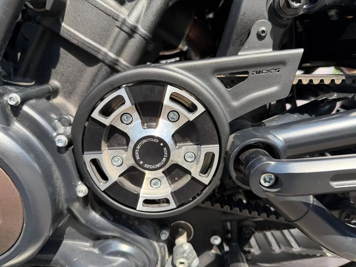 Harley-Davidson Sportster S (2022 - 24) (5)