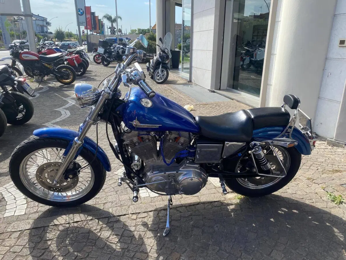 Harley-Davidson 883 Standard (1994 - 00) - XLH (2)