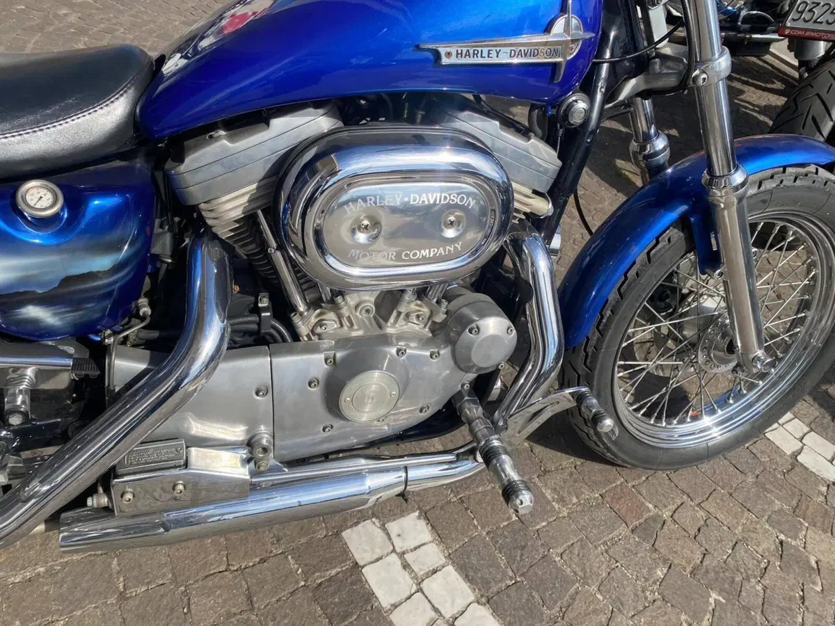 Harley-Davidson 883 Standard (1994 - 00) - XLH (6)