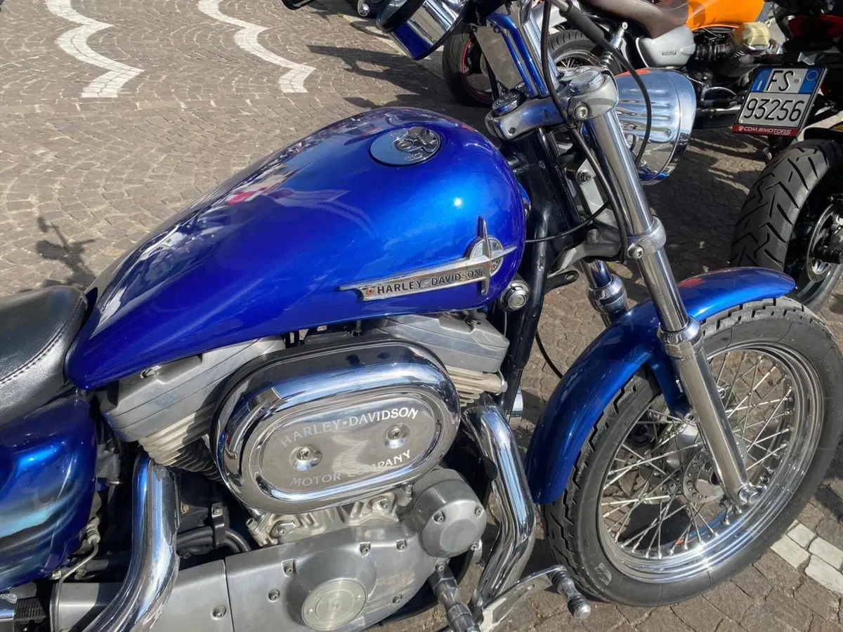 Harley-Davidson 883 Standard (1994 - 00) - XLH (7)