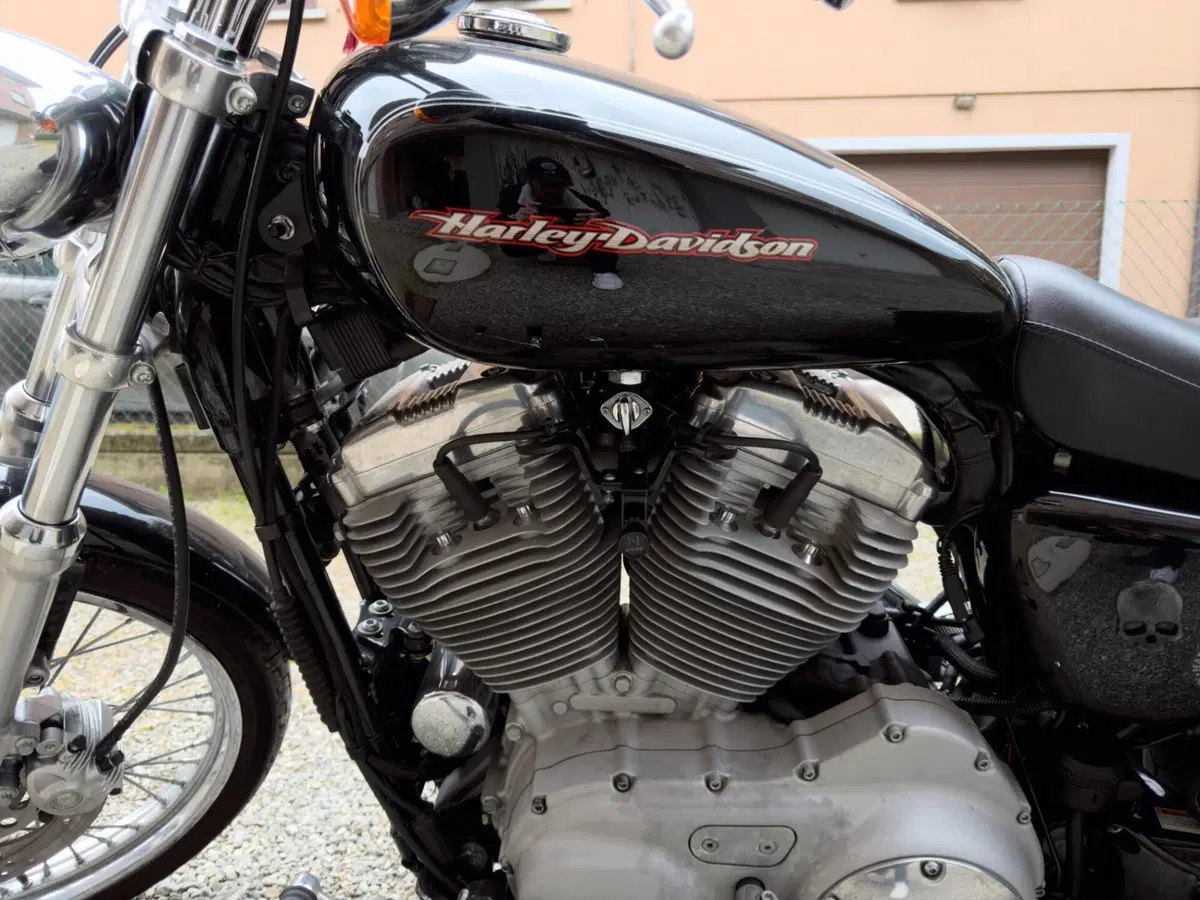 Harley-Davidson 883 Custom (2006 - 07) - XL 883C (3)