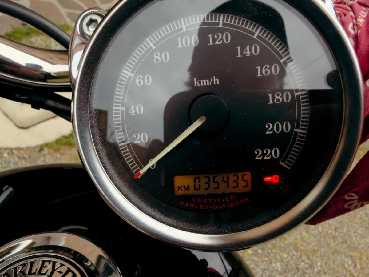 Harley-Davidson 883 Custom (2006 - 07) - XL 883C (6)