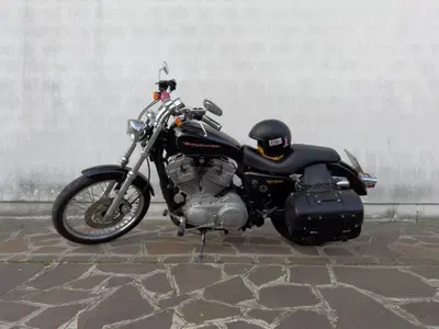 Harley-Davidson 883 Custom (2006 - 07) - XL 883C usata