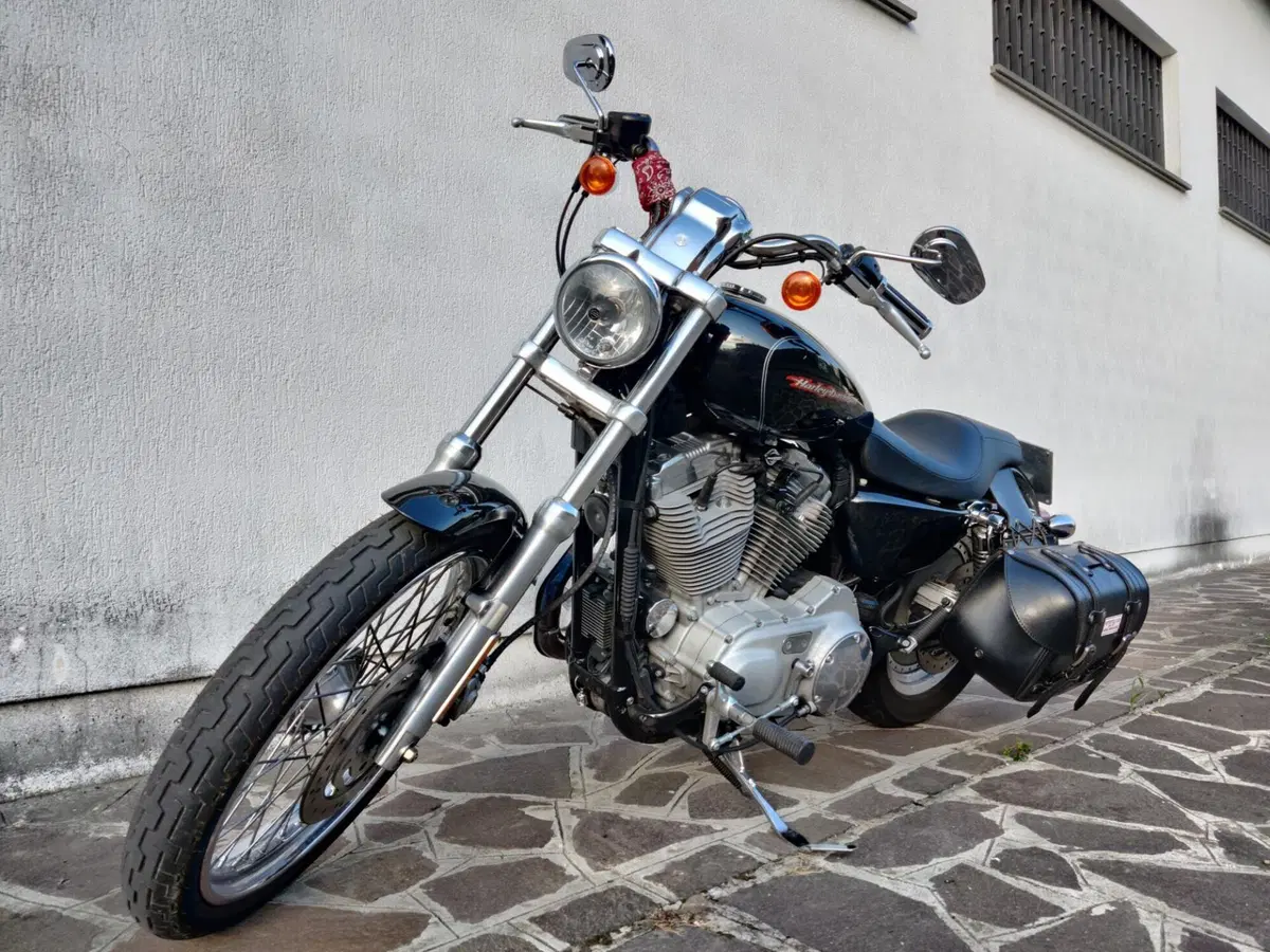 Harley-Davidson 883 Custom (2006 - 07) - XL 883C (4)
