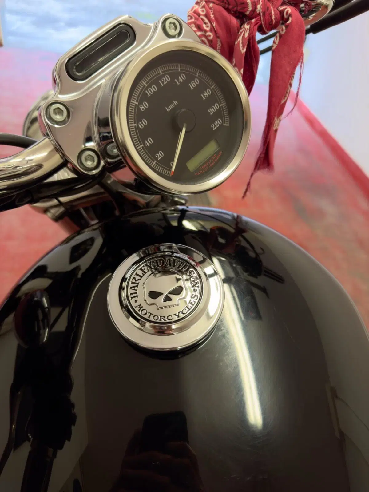 Harley-Davidson 883 Custom (2006 - 07) - XL 883C (5)