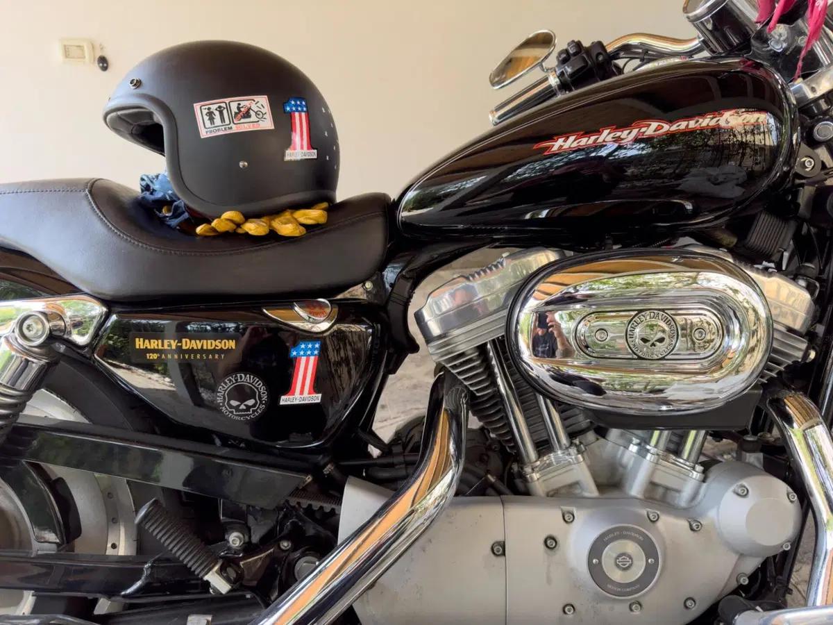 Harley-Davidson 883 Custom (2006 - 07) - XL 883C (2)