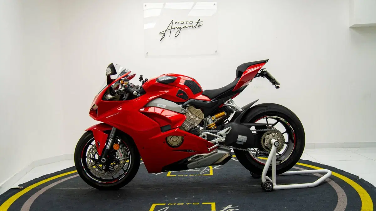 Ducati Panigale V4 1100 (2018 - 19) (7)