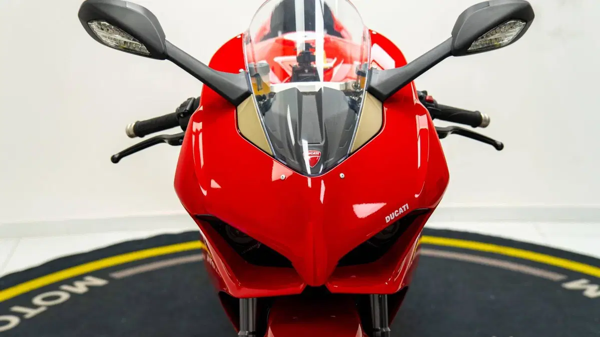 Ducati Panigale V4 1100 (2018 - 19) (10)