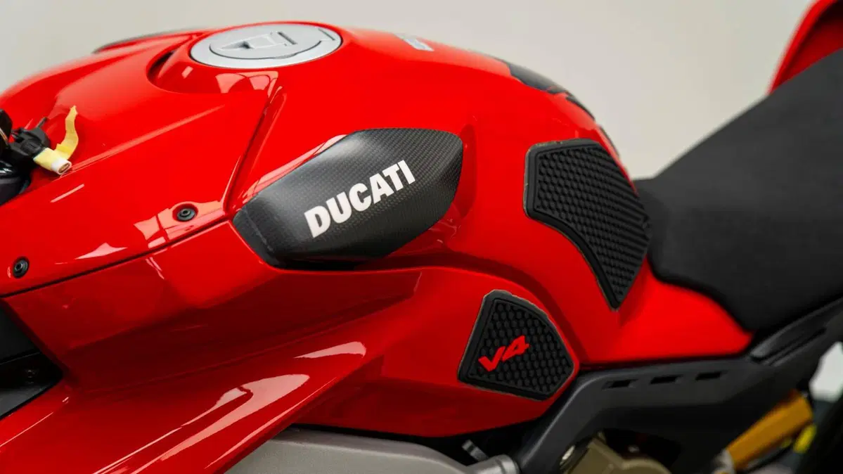 Ducati Panigale V4 1100 (2018 - 19) (12)