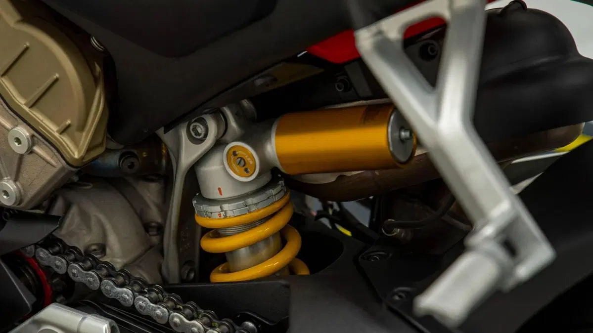 Ducati Panigale V4 1100 (2018 - 19) (14)