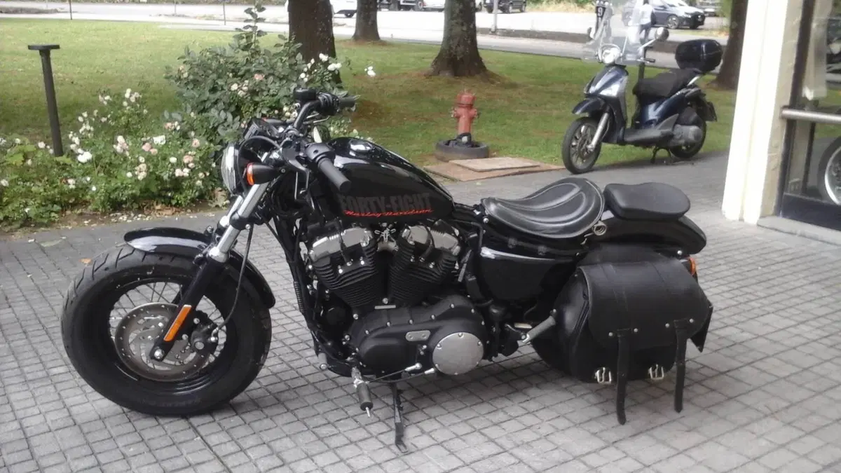 Harley-Davidson 1200 Forty-Eight (2010 - 15) (2)