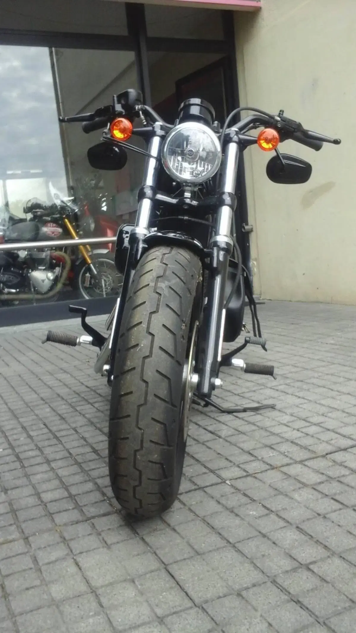 Harley-Davidson 1200 Forty-Eight (2010 - 15) (3)
