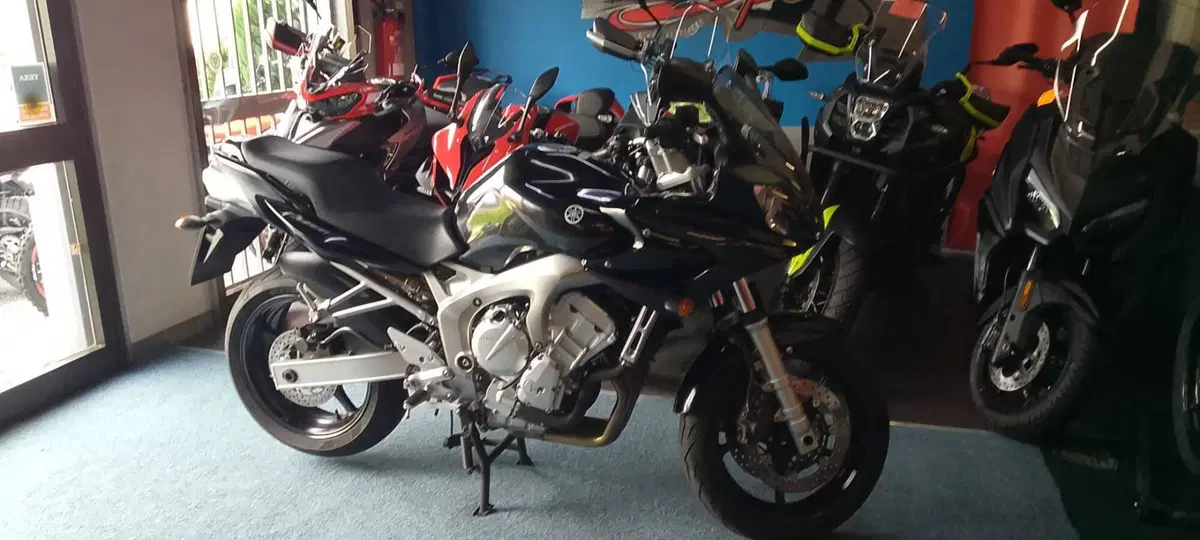 Yamaha FZ6 Fazer (2004 - 07) (5)