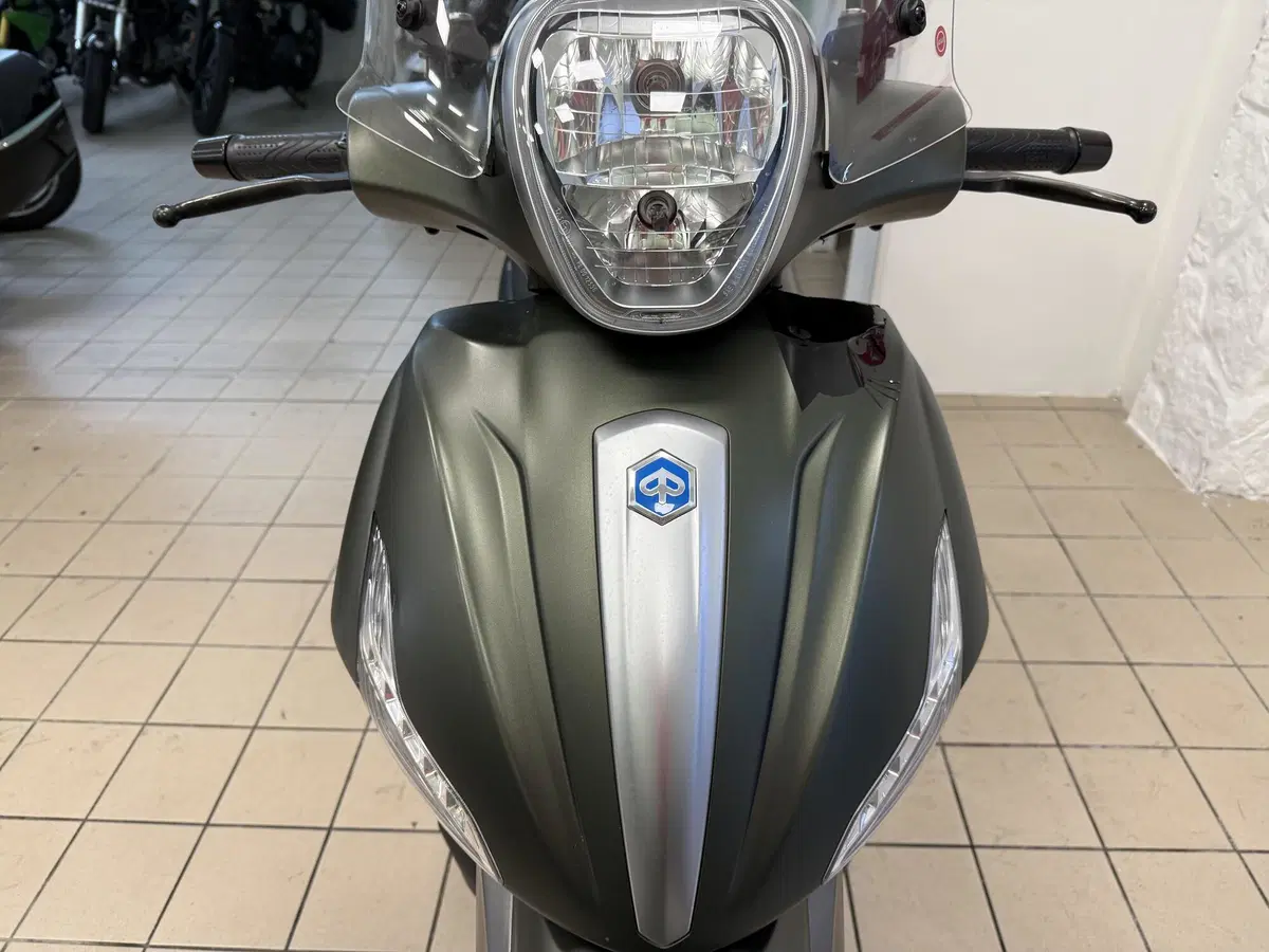 Piaggio Beverly 300 i.e. ABS-ASR (2016 - 20) (2)
