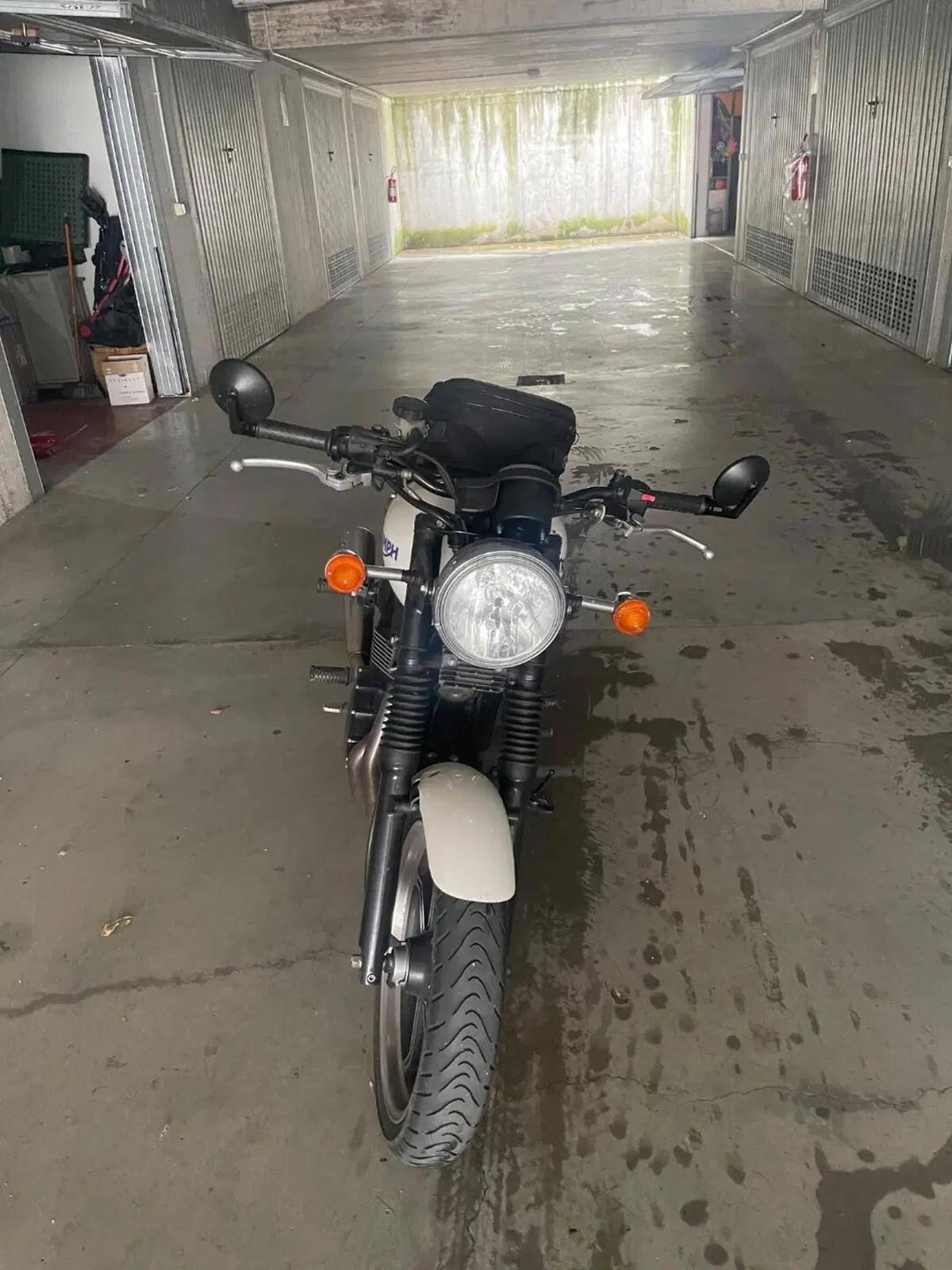 Triumph Bonneville (2007 - 16) (5)