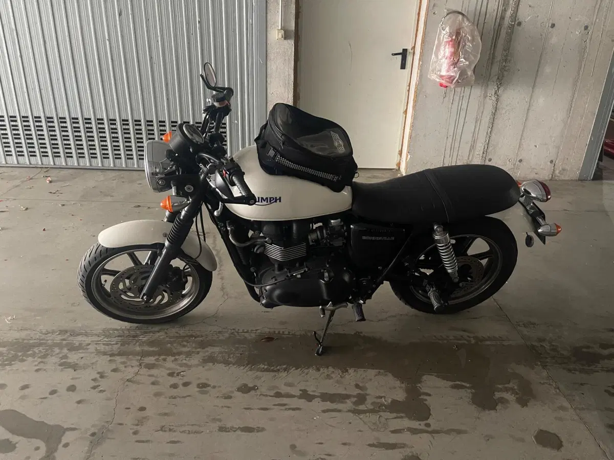 Triumph Bonneville (2007 - 16) (6)